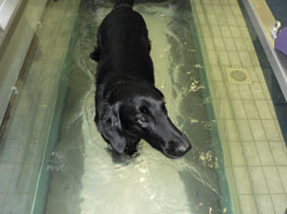 Sindy in the waterphysiotherapy